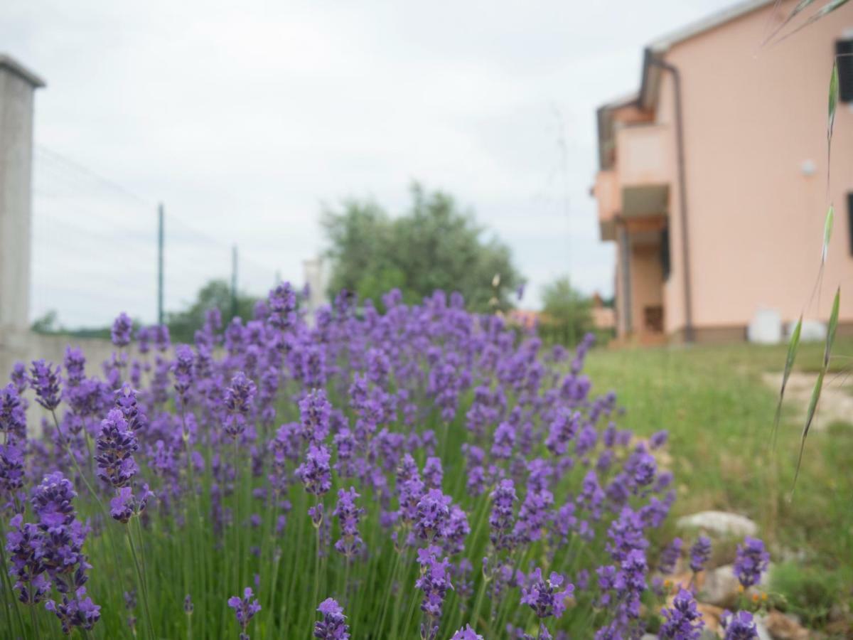 Apartment Lavandula 拉宾 外观 照片